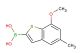 (7-methoxy-5-methylbenzo[b]thiophen-2-yl)boronic acid