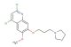2,4-dichloro-6-methoxy-7-(3-(pyrrolidin-1-yl)propoxy)quinoline