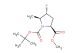 (2S,4R,5S)-1-tert-butyl 2-methyl 4-fluoro-5-methylpyrrolidine-1,2-dicarboxylate