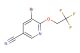 5-bromo-6-(2,2,2-trifluoroethoxy)nicotinonitrile