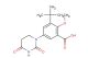 3-(tert-butyl)-5-(2,4-dioxotetrahydropyrimidin-1(2H)-yl)-2-methoxybenzoic acid