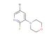 4-(5-bromo-2-fluoropyridin-3-yl)morpholine