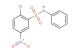 2-chloro-5-nitro-N-phenylbenzenesulfonamide