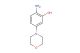 2-amino-5-morpholinophenol