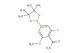 2-fluoro-6-methoxy-4-(4,4,5,5-tetramethyl-1,3,2-dioxaborolan-2-yl)benzamide