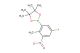 2-(5-fluoro-2-methyl-3-nitrophenyl)-4,4,5,5-tetramethyl-1,3,2-dioxaborolane