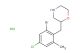 2-(2-bromo-4-chloro-6-methylbenzyl)morpholine hydrochloride
