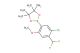 2-(5-chloro-4-(difluoromethyl)-2-methoxyphenyl)-4,4,5,5-tetramethyl-1,3,2-dioxaborolane