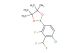2-(4-chloro-3-(difluoromethyl)-2-fluorophenyl)-4,4,5,5-tetramethyl-1,3,2-dioxaborolane