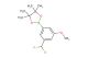 2-(3-(difluoromethyl)-5-methoxyphenyl)-4,4,5,5-tetramethyl-1,3,2-dioxaborolane
