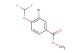 methyl 3-bromo-4-(difluoromethoxy)benzoate