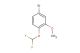 4-bromo-1-(difluoromethoxy)-2-methoxybenzene