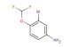 3-bromo-4-(difluoromethoxy)aniline