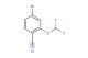 4-bromo-2-(difluoromethoxy)benzonitrile