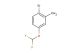 1-bromo-4-(difluoromethoxy)-2-methylbenzene