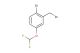 1-bromo-2-(bromomethyl)-4-(difluoromethoxy)benzene