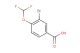 3-bromo-4-(difluoromethoxy)benzoic acid