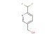 (6-(difluoromethyl)pyridin-3-yl)methanol