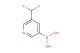(5-(difluoromethyl)pyridin-3-yl)boronic acid
