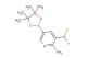3-(difluoromethyl)-5-(4,4,5,5-tetramethyl-1,3,2-dioxaborolan-2-yl)pyridin-2-amine