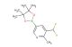 3-(difluoromethyl)-2-methyl-5-(4,4,5,5-tetramethyl-1,3,2-dioxaborolan-2-yl)pyridine