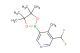 3-(difluoromethyl)-4-methyl-5-(4,4,5,5-tetramethyl-1,3,2-dioxaborolan-2-yl)pyridine