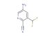 5-amino-3-(difluoromethyl)picolinonitrile