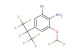 2-bromo-6-(difluoromethoxy)-4-(perfluoropropan-2-yl)aniline