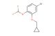 4-bromo-2-(cyclopropylmethoxy)-1-(difluoromethoxy)benzene