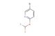 5-bromo-2-(difluoromethoxy)pyridine