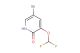 5-bromo-3-(difluoromethoxy)pyridin-2(1H)-one