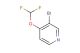 3-bromo-4-(difluoromethoxy)pyridine