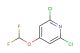 2,6-dichloro-4-(difluoromethoxy)pyridine