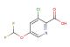 3-chloro-5-(difluoromethoxy)picolinic acid