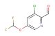 3-chloro-5-(difluoromethoxy)picolinaldehyde