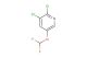 2,3-dichloro-5-(difluoromethoxy)pyridine