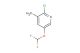 2-chloro-5-(difluoromethoxy)-3-methylpyridine