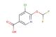 5-chloro-6-(difluoromethoxy)nicotinic acid