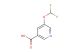 5-(difluoromethoxy)nicotinic acid