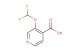 3-(difluoromethoxy)isonicotinic acid