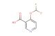 4-(difluoromethoxy)nicotinic acid