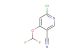 6-chloro-4-(difluoromethoxy)nicotinonitrile