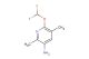 6-(difluoromethoxy)-2,5-dimethylpyridin-3-amine
