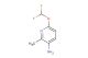 6-(difluoromethoxy)-2-methylpyridin-3-amine