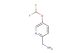 (5-(difluoromethoxy)pyridin-2-yl)methanamine