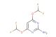 4,6-bis(difluoromethoxy)pyrimidin-2-amine