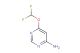 6-(difluoromethoxy)pyrimidin-4-amine
