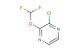 2-chloro-3-(difluoromethoxy)pyrazine