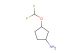 3-(difluoromethoxy)cyclopentanamine