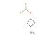 3-(difluoromethoxy)cyclobutanamine